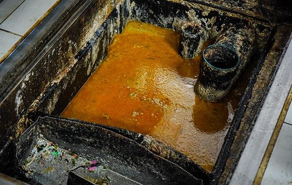 we provide detailed records of each grease trap cleaning company we perform